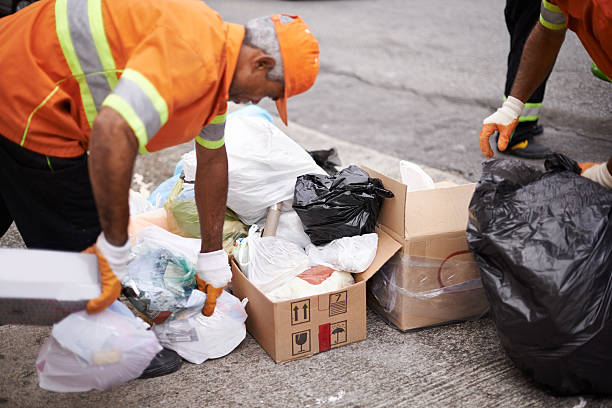 Professional Junk Removal in Harlem Heights, FL